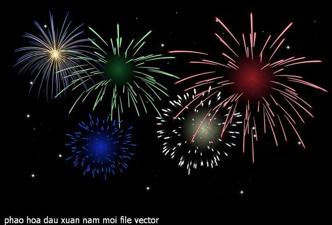 phao hoa dau xuan nam moi file vector